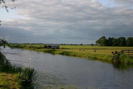 Polder bij Schoonhoven