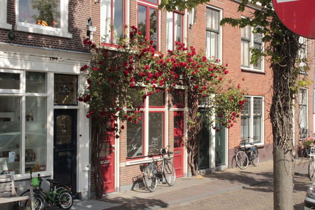 Delft - compositie in rood