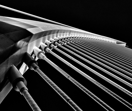 Calatrava Bridge 02