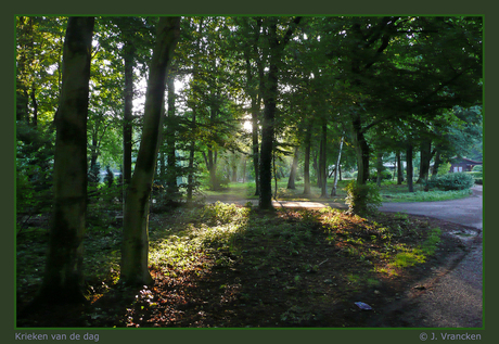 Ochtend gloren