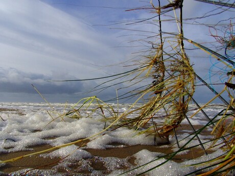 Rust langs de kust weergekeerd