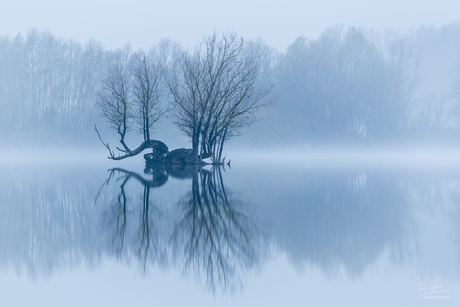 Eilandje in de mist