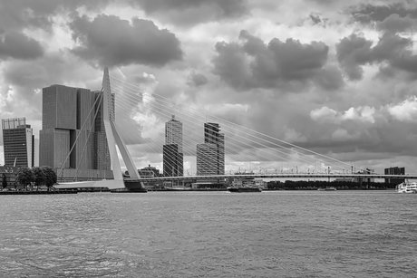 kop van zuid - Erasmusbrug zwwit