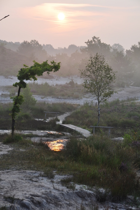 Brunssummerheide