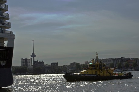 klein en groot samen 1 in rotterdam