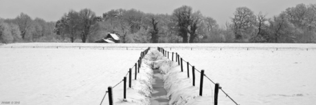 Winterlandschap 2010 - 2