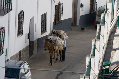 muilezels Alpujarras-5988.jpg