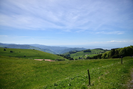 Schwarzwalder uitzicht