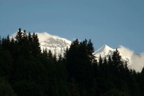 Silberhorn