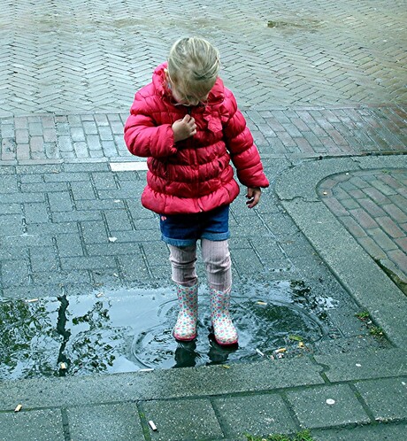 KONINGSDAG SCHIEDAM-Z 27-04-2016 LEKKER STAMPEN