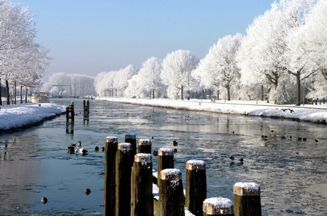 Winter in Tilburg