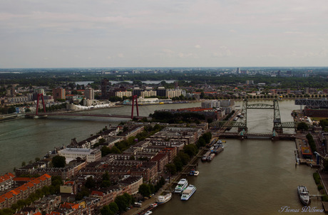 Uitzicht van De Rotterdam