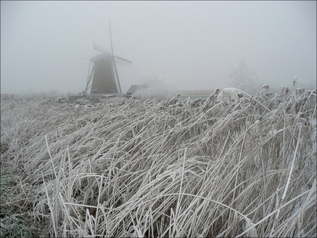 Kinderdijk