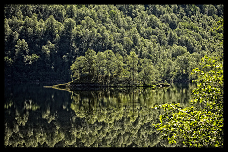 reflectie green Noorwegen