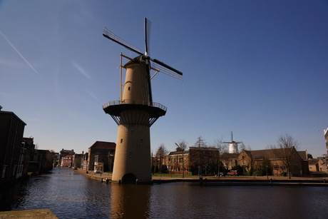 Schiedam de stad van de molens