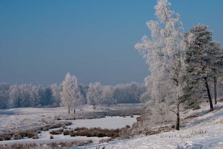 winterlandschap