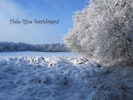 Fijne feestdagen!