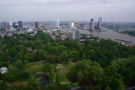 Rotterdam