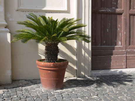 Italiaans straatje.