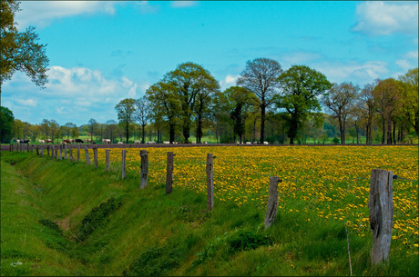 Twente