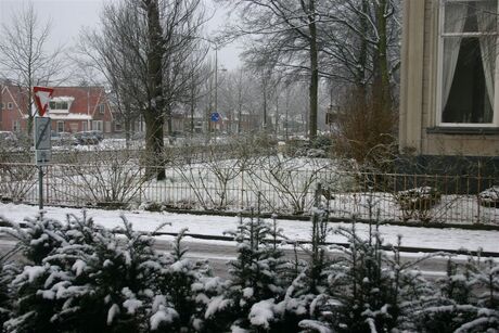 20050224 De eerste sneeuw0001