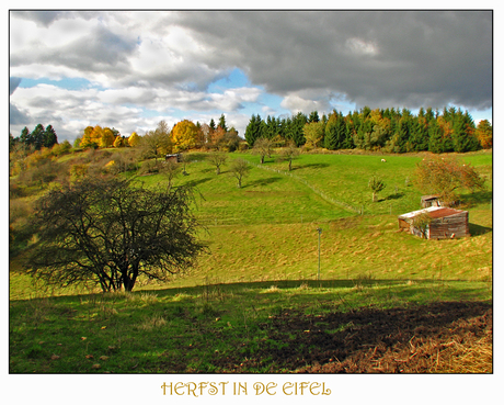 Herfst in de Eifel 2