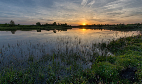 riet en zonsondergang