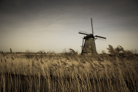 Kinderdijk