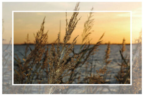 Avond bij Schildmeer