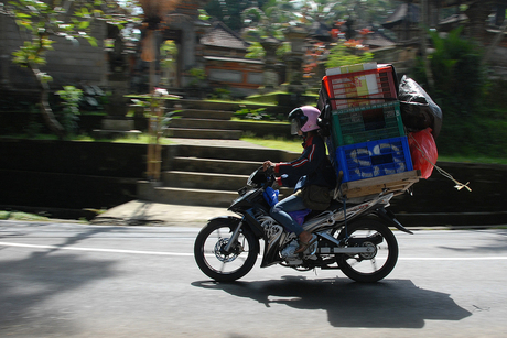 Not allowed in Holland