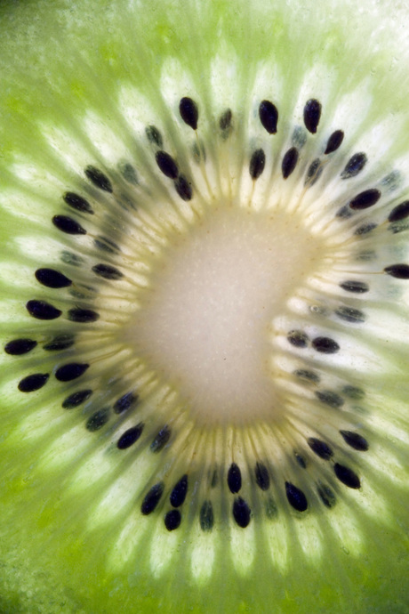 kiwi