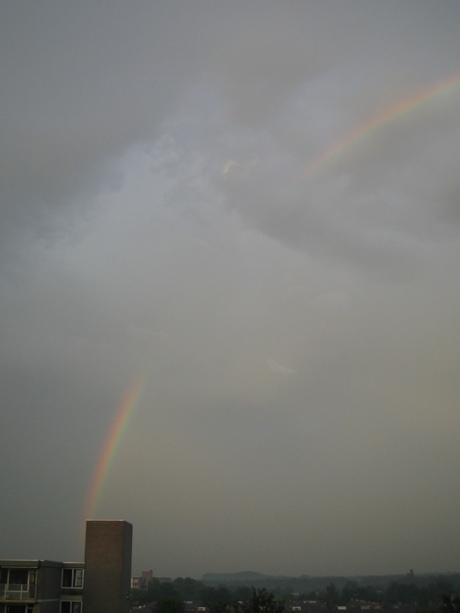 Regenboog