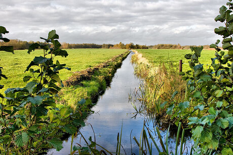 Boomhoek (Loosdrecht)