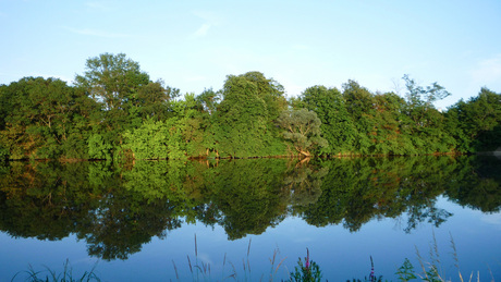 Reflex Saone Frankrijk