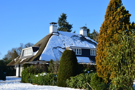 Wassenaar aan de grens