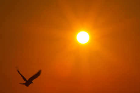 Zonsondergang tegemoet