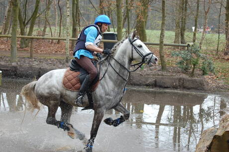 Paardendagen Etten-Leur