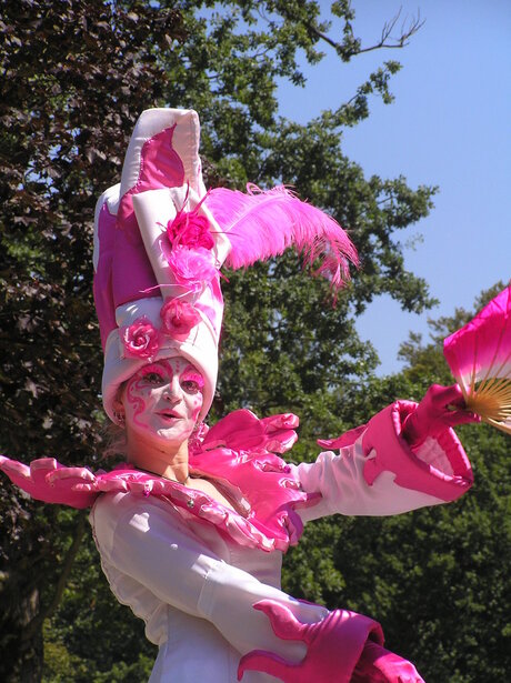 Roze steltenloopster Castlefest
