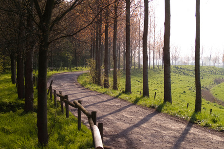 Zeeuws landschap