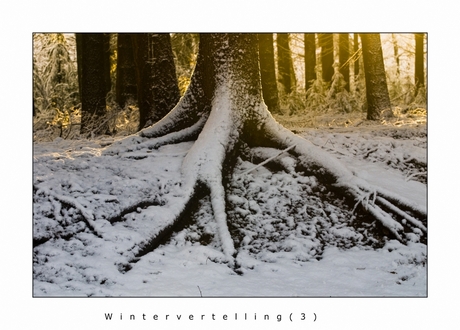 Wintervertelling 3