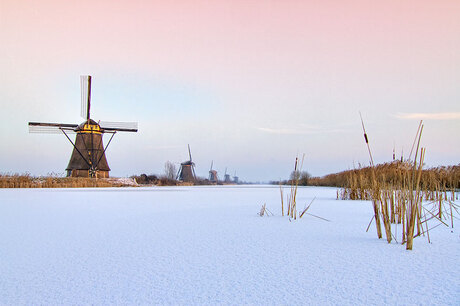 (HDR) Molens in de sneeuw, Kinderdijk