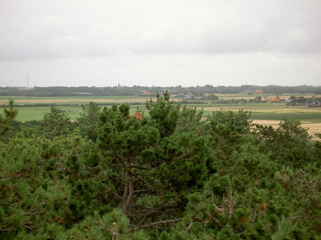 Kijkend over de boomtoppen over Texel