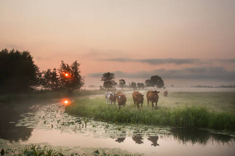 Een beetje zomer