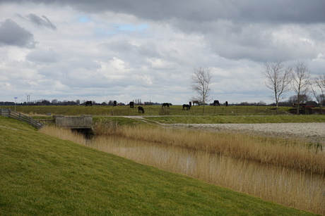 Bij de zeedijk in Friesland