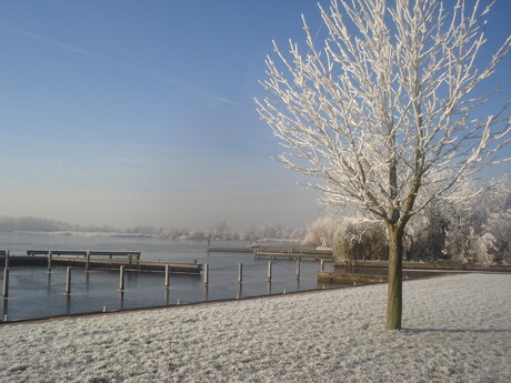 Winter op de Kaag