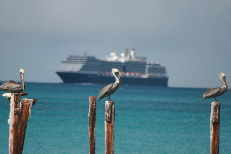 Aruba 2009