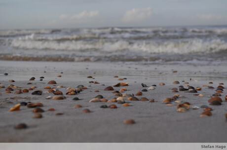 Strand Oostkapelle