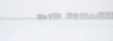 witte wereld