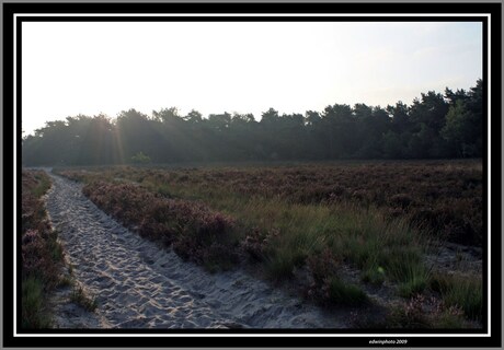 Loonse Drunense Duinen 06.30 uur zonsopkomst