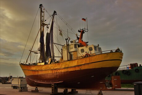 Visarend Greetsiel